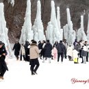 알프스마을 이미지