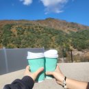 인제08 | [인제] 독차지 캠핑 "A6 사이트" 애견동반 내돈내산 솔직후기