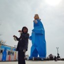 대교미트