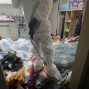 하얀나라 | 안산청소업체 하얀나라 이용 후기, 전문성과 신뢰가 느껴지는 경험담