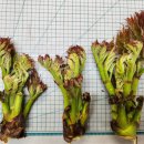 정해 마을회관 이미지