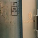 [상왕십리마사지] 양생약손마사지 아로마마사지 60분 후기｜왜 약손인지 알겠던 힐링 시간🌿