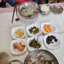 은행나무3길 | [거제도 여행] 1박2일 거제도 여행 복개천식당 연포탕 동부저수지 은행나무길 감성숙소 머그학동 후기