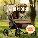 맘편한약국 이미지