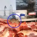 중국식품식당 이미지