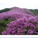 제171차 26년5월 정기산행 장수 봉화산 철쭉산행 안내(26년 05월 03일) 이미지