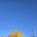 한성 당구장 이미지