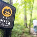 선인민박 이미지