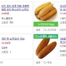 정감이간다 이미지