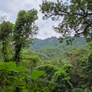 청계산공인중개사사무소 이미지