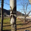 장승나라 소도 이미지