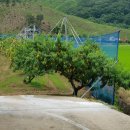 유나네농원 이미지