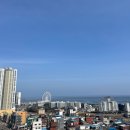 블루12속초테라 이미지