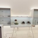 나비야 cat 이미지