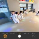 플라잉타이거태권도 이미지