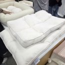 멍냥펫24양원역점 | [2026 부산펫쇼] 고양이 집사의 관람후기