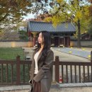 남부4길 | 전주 1박2일 뚜벅이여행 전주한옥마을 경기전 어진박물관 객리단길 전주동물원 남부시장