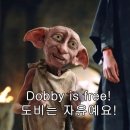 수국칼국수 네이버블로그