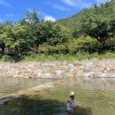 목재문화체험장야외화장실 이미지