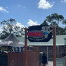 유동물원 | [🎄썸머 크리스마스 호주/멜버른] DAY2 멜버른 필립아일랜드 투어 (마루동물원, 노비스락, 펭귄퍼레이드)