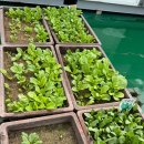 선한이웃요양병원 이미지