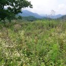 일종축사 이미지