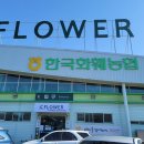 농협본점 이미지