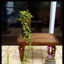 스파밸리 이미지