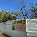 자유민박 이미지