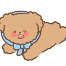 베드보스