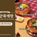 국수나무 이미지