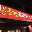 동경갈매기
