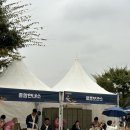 공주-70 | [공주] 제70회 백제문화제 후기
