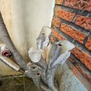 리안헤어 안성공도점 | 안성 공도 촌집 어르신 댁 난방 불량 해결! 보일러 분배기 교체 + 노후 수도배관 설비 교체 후기