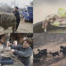 다해밥상 이미지