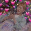 어도러블 이미지