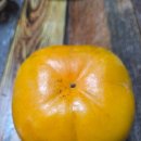 옥실농장 이미지