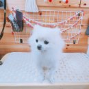 이쁘개(내포신도시점) 이미지