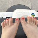 네일하세령