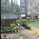 마음이머무는곳 | 할머니가 머무는 양주요양원, 마음이 놓였던 하루 후기