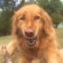 삼도1동 오라지구대 뒤 | 기록 | 아이폰(공기계) 도난 경찰 신고 및 도둑 잡고 돌려받은 후기