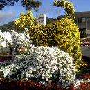 진도향토문화회관 이미지