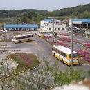 (주)광천제재소(1종) | 광주 수완지구 운전면허학원 3곳: 초보도 빠른 합격! 최저가부터 셔틀까지