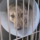 성남 공영주차장 이미지