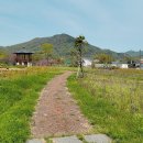 금강생태마당 이미지