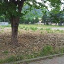 명주보건진료소 이미지