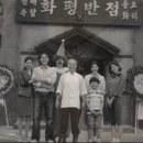 청춘어항