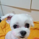 우주를 줄개 이미지