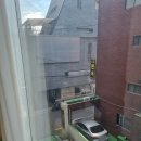 도시히피즈 이미지