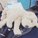 횃불세탁소 이미지